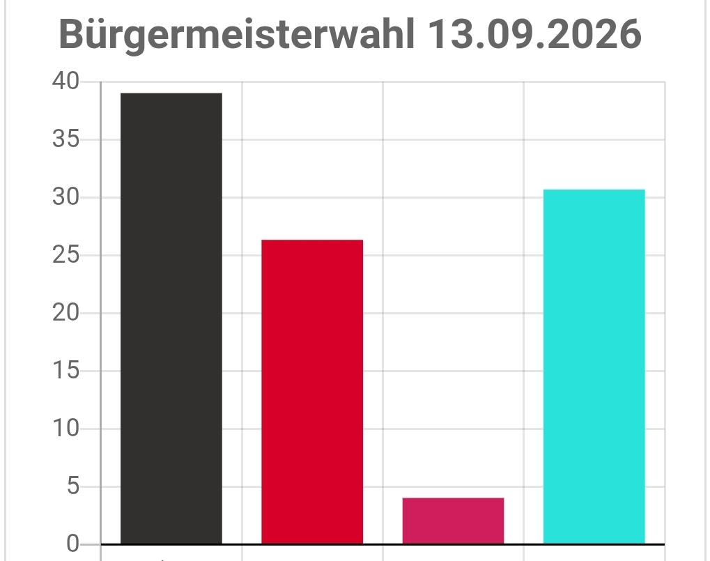 Der schwarze Balken f�r Torsten Bauer ging nah an die 40 Prozent. 
